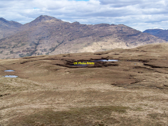 Photo 6"x4" Moorland Near Lochan Duin Inverarnan c2010