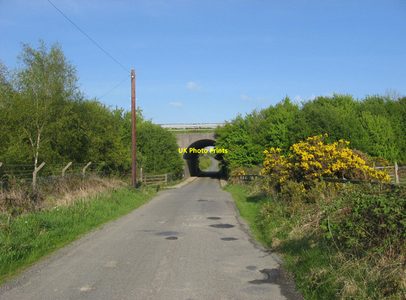 Photo 6"x4" Motorway bridge at Paddock, Co. Louth Monasterboice c2010