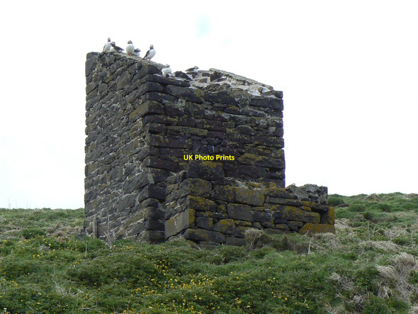 Photo 6"x4" Puffins on a toilet Tarbet Hole c2010