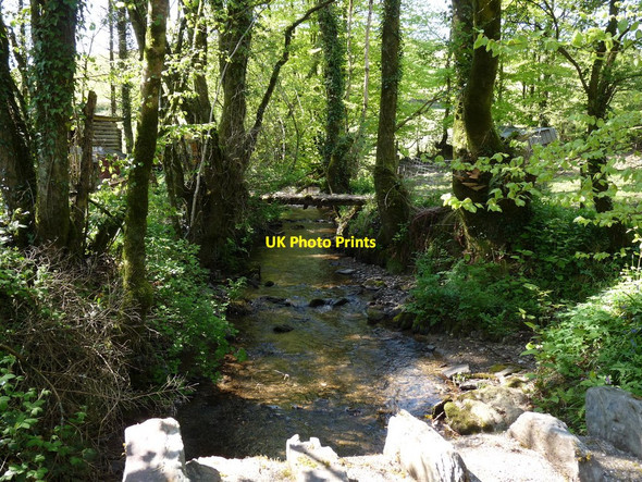 Photo 6"x4" The view upstream from Bugford Bridge on the River Yeo Bugford c2010