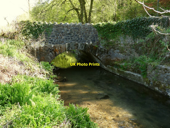 Photo 6"x4" Brockham Bridge on the River Yeo as seen from upstream Arlington\/SS6140 c2010