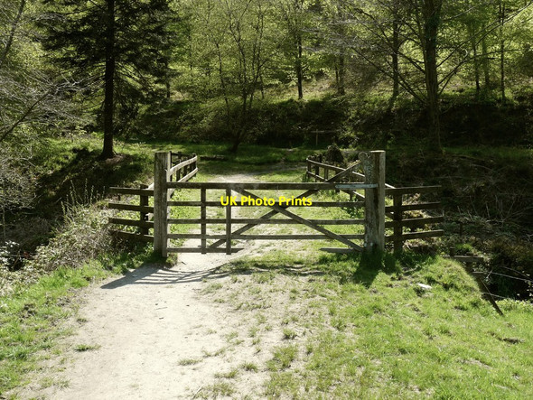 Photo 6"x4" Smallcombe Bridge on the River Yeo Arlington\/SS6140 c2010