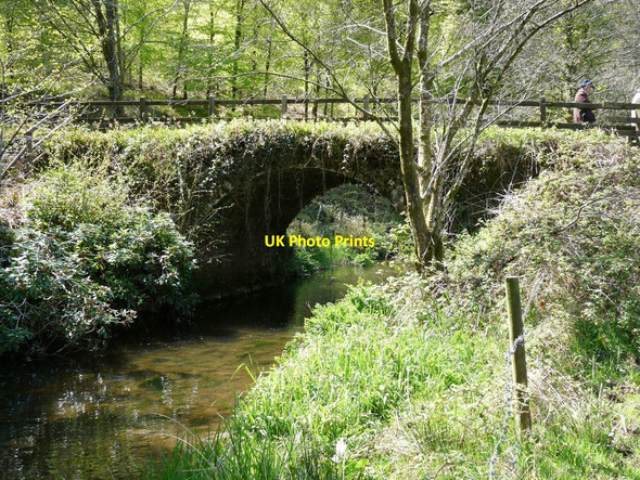 Photo 6"x4" Smallcombe Bridge on the River Yeo as seen from downstream Arlington\/SS6140 c2010