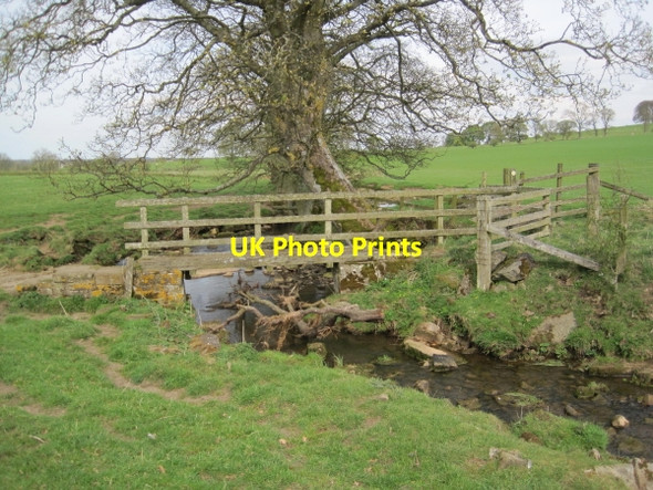 Photo 6"x4" Footbridge over the River Pont Great Whittington c2010