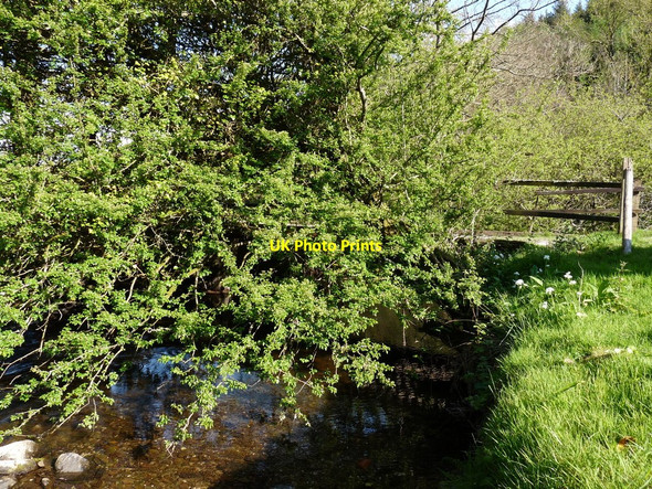 Photo 6"x4" A Bridge on the River Yeo which leads to New Mills as seen from downstream Chelfham c2010