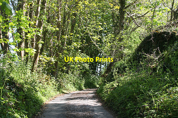 Photo 6"x4" Noss Mayo: lane leading to Netton Farm 2 Noss Mayo c2010