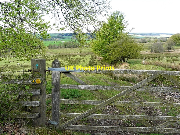 Photo 6"x4" Public footpath to Watleyhurst Warwicksland c2010