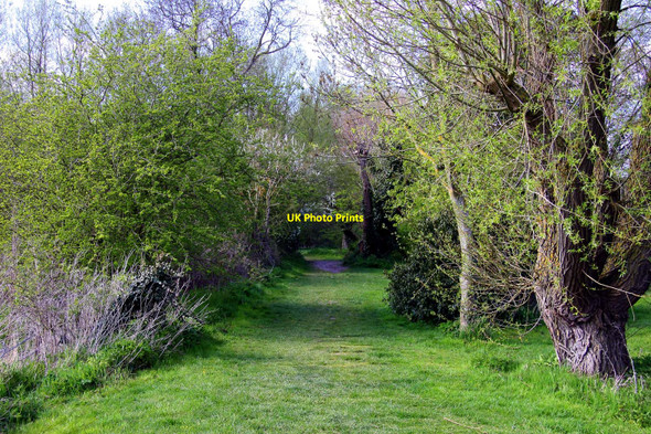 Photo 6"x4" Footpath in Chalgrove Chalgrove c2010