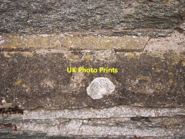 Photo 6"x4" Bench Mark, Ballykelly Ballykelly c2010