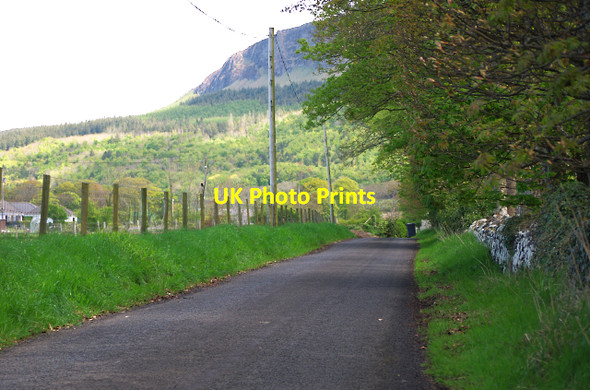Photo 6"x4" The Scotchtown Road, Glebe Bolea c2010