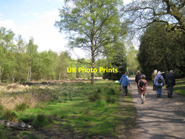 Photo 6"x4" Brook valley and drive, Sutton Park Tudor Hill c2010