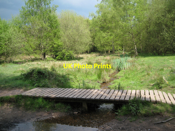 Photo 6"x4" Footbridge over Plants Brook, Sutton Park Tudor Hill c2010