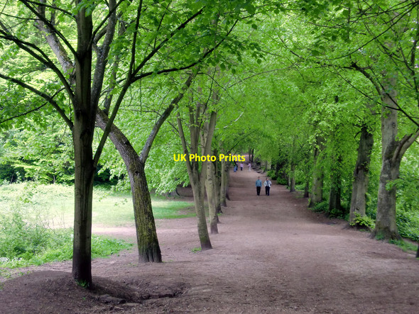 Photo 6"x4" Footpath, Hampstead Heath, London Hampstead\/TQ2685 c2010