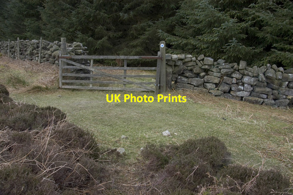 Photo 6"x4" Bridleway entrance into Wintergill Plantation Street\/NZ7304 c2010