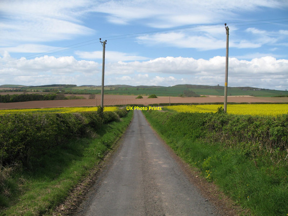 Photo 6"x4" Minor Road with Telegraph Poles Manorhill c2010