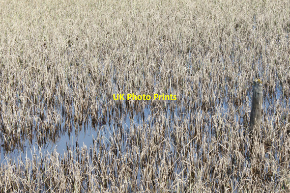 Photo 6"x4" Haroldswick pool Bothen c2010