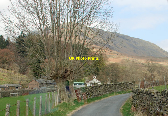 Photo 6"x4" Ghyll Foot, near Grasmere Town Head\/NY3309 c2010