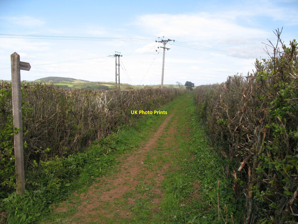 Photo 6"x4" Footpath with Sign near Rhymer's Stone Melrose\/NT5434 c2010
