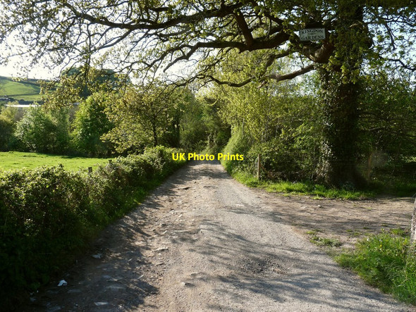 Photo 6"x4" The track which leads to the Bulldog Fish Farm and Kingdon's Gardens Barnstaple c2010