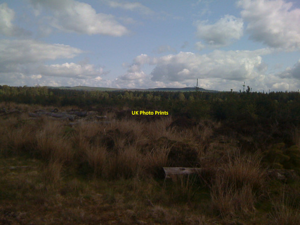 Photo 6"x4" Ironhirst Moss Mouswald c2010 P1