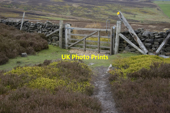 Photo 6"x4" Gate on Bridleway over Kildale Moor Kildale c2010