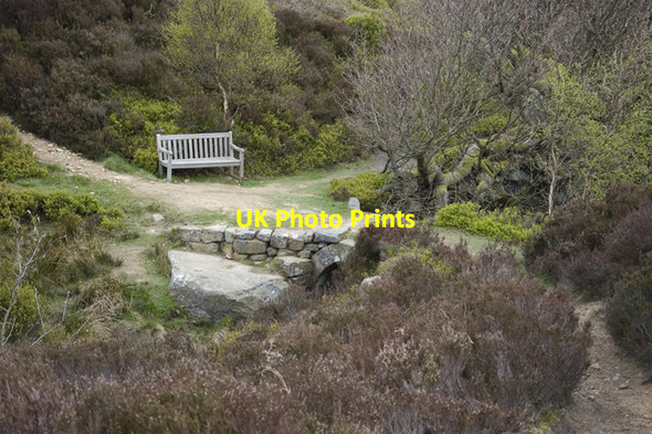 Photo 6"x4" Bridleway crossing Great Hograh Beck Westerdale\/NZ6605 c2010