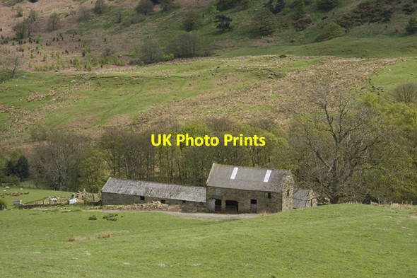 Photo 6"x4" Dale Head Street\/NZ7304 c2010