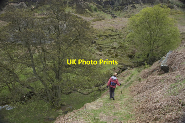Photo 6"x4" At the head of Great Fryup Dale Street\/NZ7304 c2010