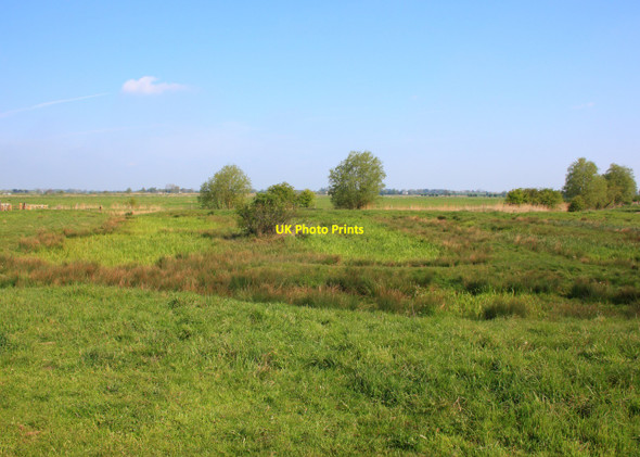 Photo 6"x4" Overgrown Fishponds, St Benet's Abbey Thurne c2010