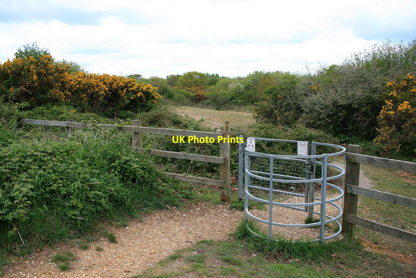 Photo 6"x4" Kissing gate onto Turbary Common Bourne Valley c2010