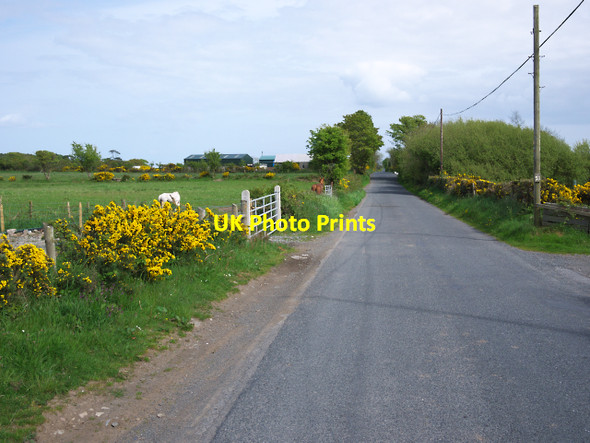 Photo 6"x4" The New Road, Carrowdore Carrowdore c2010