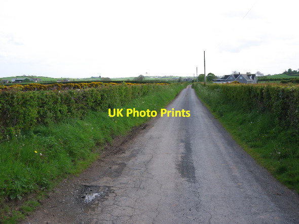 Photo 6"x4" The Ballydoonan Road near Carrowdore Carrowdore c2010