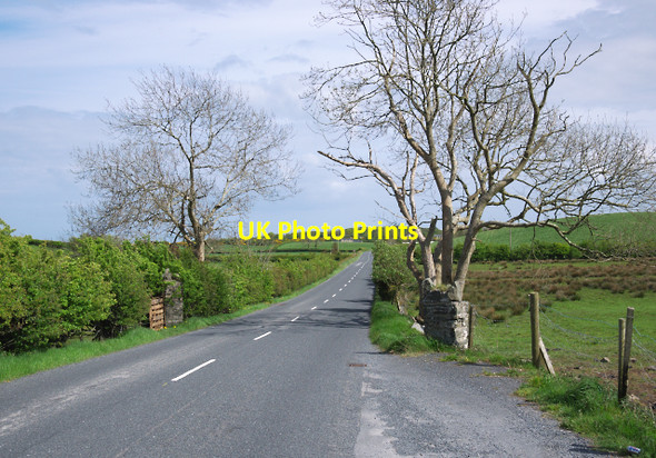 Photo 6"x4" The Cardy Road, Ballyboley Carrowdore c2010