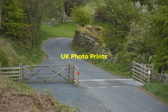 Photo 6"x4" Cattle grid in Glaisdale Glaisdale\/NZ7705 c2010