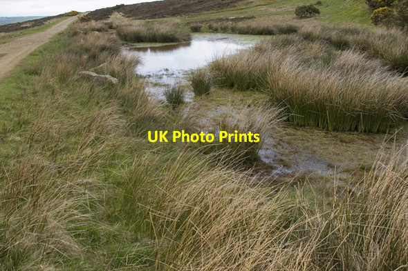 Photo 6"x4" Reedy pond beside Glaisdale Rigg bridleway Glaisdale\/NZ7705 c2010