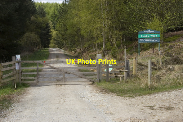 Photo 6"x4" Entrance to Bumble Wood Collier Gill c2010