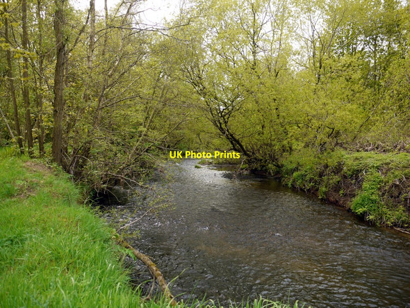 Photo 6"x4" River South Tyne, Beltingham Nature Reserve Bardon Mill c2010