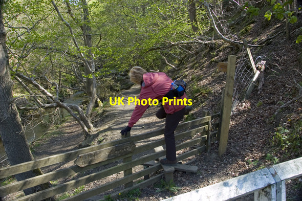 Photo 6"x4" Footpath to Mallyan Spout and Goathland Goathland c2010