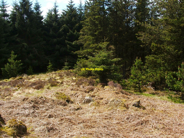 Photo 6"x4" Shiels of Gartlea chambered cairn Gallangad Burn\/NS4580 c2010