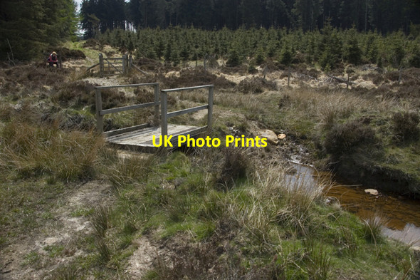 Photo 6"x4" Footpath crossing Blawath Beck Blawath Beck c2010