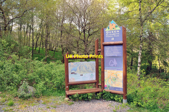 Photo 6"x4" Information board at the forest parking at Bochastle Kilmahog c2010