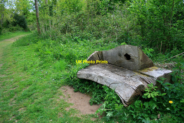 Photo 6"x4" Tree trunk bench Tadden c2010