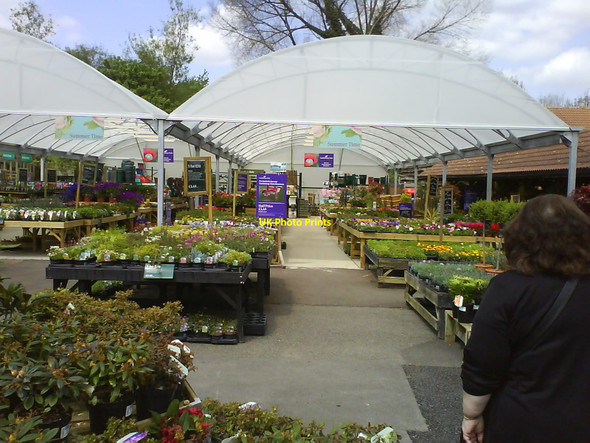 Photo 6"x4" Plant stands at Wyevale Garden Centre Great Gaddesden c2010