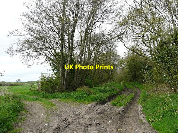 Photo 6"x4" Public footpath to Burgh Moor House Kirkbampton c2010