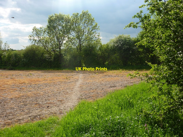 Photo 6"x4" Field corner near Upton Upton\/SK7476 c2010