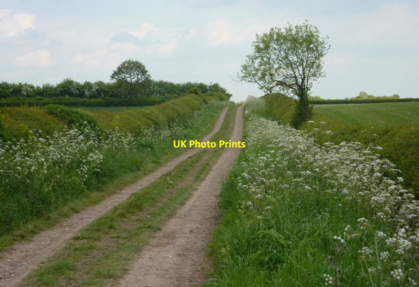 Photo 6"x4" Byway east of Headon Upton\/SK7476 c2010
