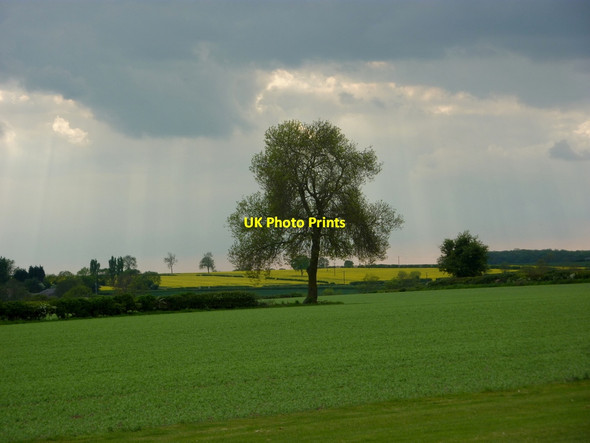 Photo 6"x4" Farmland between Headon and Upton Upton\/SK7476 c2010