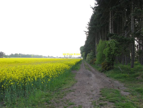 Photo 6"x4" Footpath at Ince Blundell Carr Houses\/SD3203 c2010