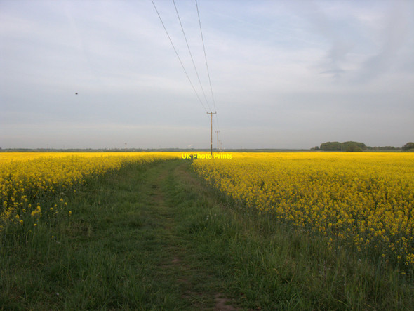 Photo 6"x4" Footpath to Baines Bridge Carr Houses\/SD3203 c2010