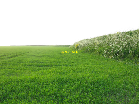 Photo 6"x4" Alt embankment Carr Houses\/SD3203 c2010
